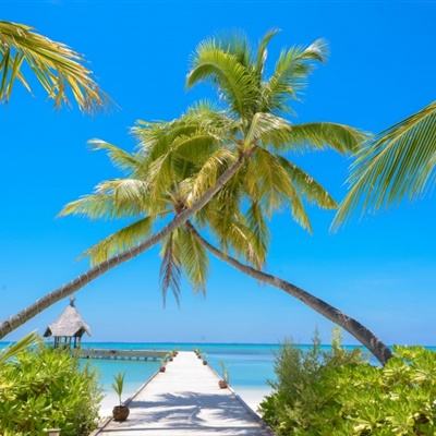 好彩网下载手机版