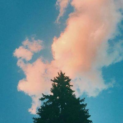 华体会登录手机版app下载