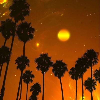 博鱼综合体育官方网站入口