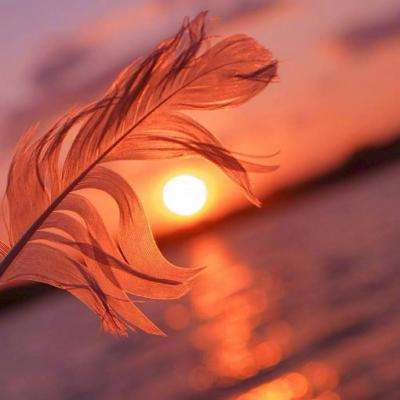 完美365体育ios下载