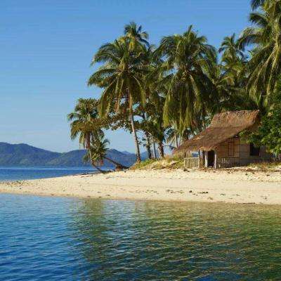 澳门2023全年免费资料大全app下载