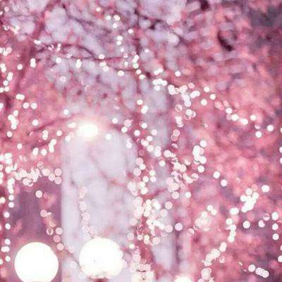 北单足球比赛结果sp值